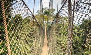 kakum canopy walk