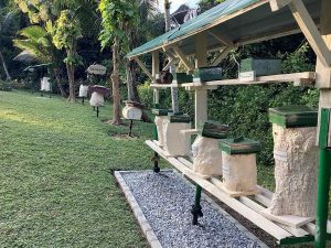 The Stingless Bee Centre — Sweet Science & Eco-Learning