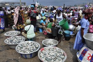 elmina fish market